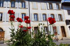 Frederique_Z-20