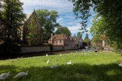 Bruges_FZ-2