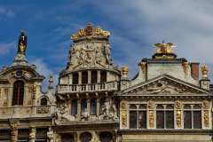 Bruxelles_FZ-24