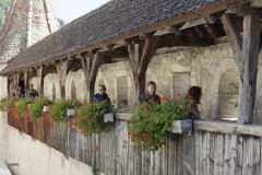 Frederique-17