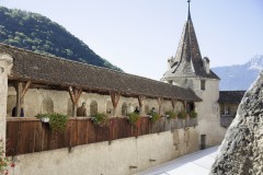 Frederique-18