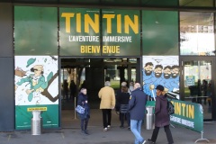 Tintin 6 février 2024